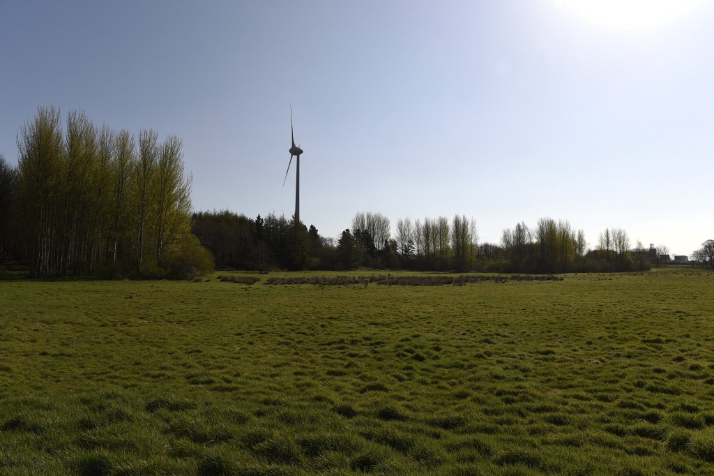 Coleraine Enterprise Zone: the green field site