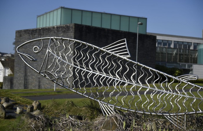 Coleraine Borough Council Offices