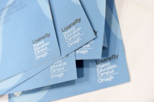 Lisanelly - Meet the Buyer - Leaflet