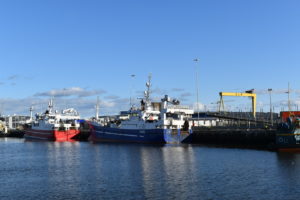 Pelagic vessels in Belfast